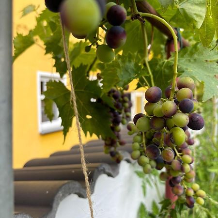 Apartamento Haus Rheinleben Boppard Exterior foto